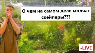 О чем на самом деле молчат скейперы?