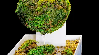 Self-Watering Moss Globe (Satisfying and Relaxing Build)