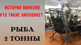 ВИЛКОВО История. Кто такие Липоване? Рыбы до 2 тонн