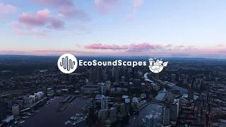 New Environmental Sounds for Microsoft Flight Simulator - EcoSoundScapes for MSFS #fs2020 #msfs