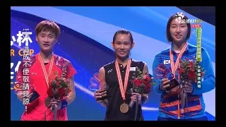 羽球亞錦賽-戴資穎vs陳雨菲 20180429 公視3台 Tai Tzu Ying vs Chen Yu fei