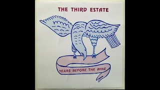 The Third Estate — Years Before The Wine 1976 (USA, Psychedelic Rock/Progressive Folk) Full Album