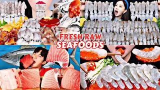 RAW SEAFOOD MUKBANG | Fresh Squid Shrimp Crab Tuna Octopus | Mukbang ASMR Compilation