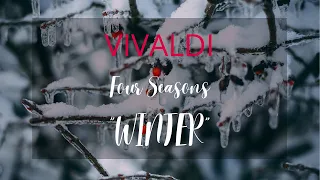 Vivaldi - The Four Seasons - Violin Concerto in F Minor, RV 297, “Winter”, I. Allegro Non Molto