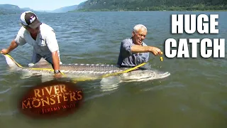 Caught A 9ft Sturgeon Fish | River Monsters