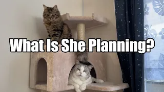 What is she planning?