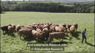 North Wyke: the farm helping us study the impact of livestock farming