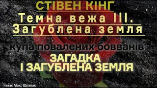 (19. Фінал) Стівен Кінг. ТЕМНА ВЕЖА 3. Загублена земля. Загадка і загублена земля