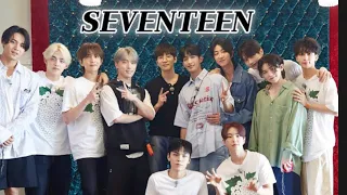 [𝑺𝑽𝑻] 2024 seventeen playlist / 세븐틴 명곡 / 노동요 / 60곡