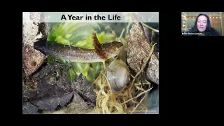 Vernal Pools 101