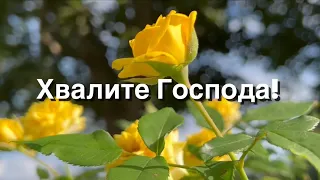 Хвалите Господа! христианский стих-песня (читает автор Анна Юркин@)