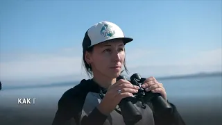 Как гренландские киты живут в Охотском море?
