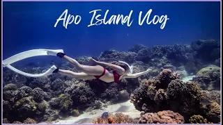 Apo Island (Travel and Freedive) | Negros Oriental