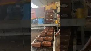 new clay brick machine | wheel logo clay brick machine |5000 bricks per hour| 2022