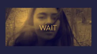 WAIT - Brother Wolf