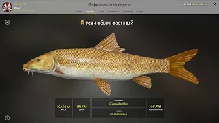 Russian Fishing 4 оз.Медвежка Усач