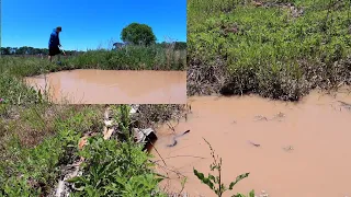 Beaver Dam Removal Unclogging Drainage Ditches | The Beaver is Moving Around On Us.