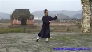 Wudang Taiji 108 - Part 1 - Master Yuan Xiu Gang (武当太极108式 - 第1段 - 袁修刚)