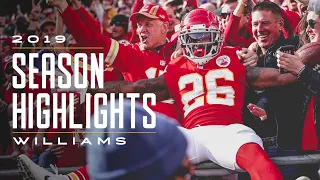 Damien Williams' 2019 Season Highlights | Kansas City Chiefs