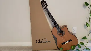 I got a new nylon string guitar - Cordoba 12 Natural (Fusion series)!