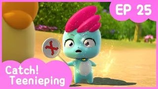 [KidsPang] Catch! Teenieping｜Ep.25 THAT’S NO, NONOPING! 💘