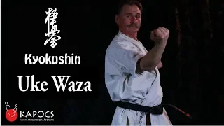 Kyokushin karate - védések (kyokushin uke waza) - Kapocs Sportprogram