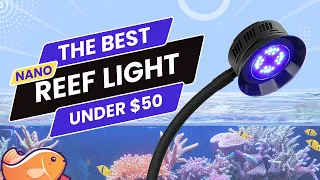 The Best Budget Nano Reef Aquarium Light Under $50 Dollars! First Look