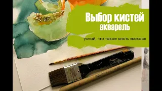 Выбор кистей для #рисования #акварелью