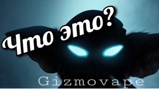 ЧТО ТАКОЕ GIZMOVAPE?