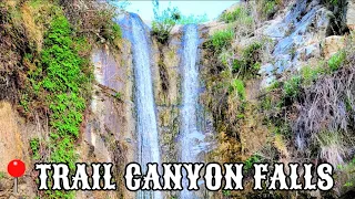 Trail Canyon Falls in Tujunga, CA. | Hike Vlog #3 4/10/22