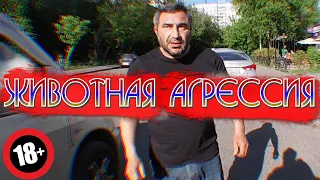 СтопХам-NEED FOR SPEED IN RUSSIA🏁