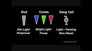 Color Vision 9: Melanopsin in the Eye