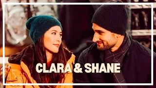 Clara & Shane│PAISAGEM DE NATAL