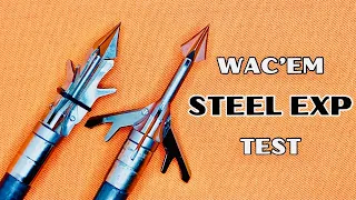 WAC'EM STEEL EXP 3 BLADE: Broadhead Test