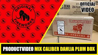 PRODUCT VIDEO | ORIGINAL | MIX CALIBER DAHLIA PLUM BOX | 4322