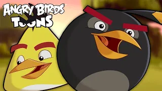 Angry Birds Toons Season 1 | Ep. 47 to 52