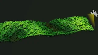 Amazon Canopy Comes to Life through Laser Data