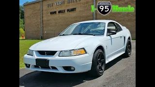 42K mile 1999 Ford Mustang SVT Cobra at I-95 Muscle