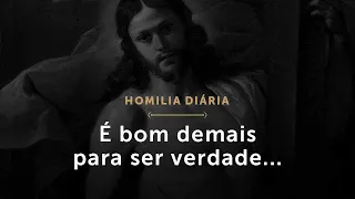 É bom demais para ser verdade... (Homilia Diária.1464: Segunda-feira da 4.ª Semana da Páscoa)