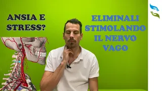 Ansia e stress? 4 tecniche di stimolazione del nervo VAGO.