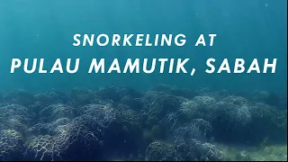 Snorkeling at Pulau Mamutik, Sabah #VisitSabah #VisitMalaysia