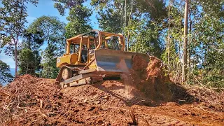 Spectacular? CAT D6R XL Bulldozer Operator Skill Uprooting Tree Roots Using a Blade