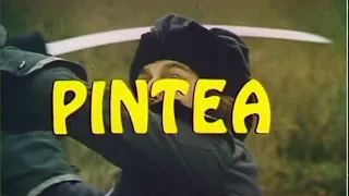 Pintea (german language)