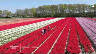 Week end à Amsterdam - Extrait - Échappées belles