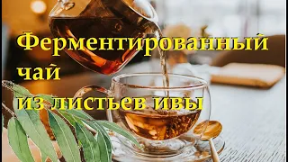 Сыроедим вместе №7: Ферментированный чай из листьев ивы своими руками