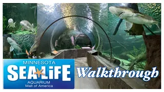 SEA LIFE Aquarium Walk Tour at Mall of America, Minnesota | Spring 2022