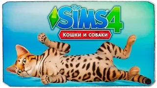 КОШКИ И СОБАКИ ВЫШЛИ! - The Sims 4 "Кошки и Собаки"
