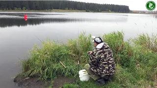 ЩУКА НА ПОПЛАВОК ОСЕНЬЮ! РЫБАЛКА НА ЩУКУ С ЖИВЦАМИ РЯДОМ С ДОМОМ ОСЕНЬЮ, ПЕРВАЯ ПОКЛЁВКА!