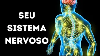 Uma viagem através do seu sistema nervoso