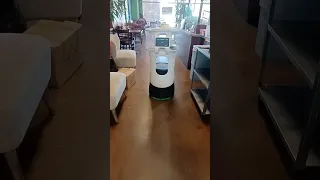 robot delivering food at pho777 in Fresno,Ca